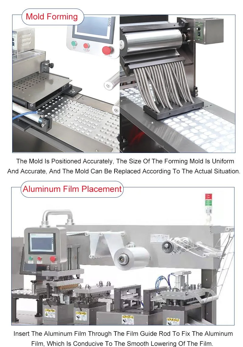 Dpp-260 Automatic Thermoforming Sealing Capsule Candy Ketchup Perfume Jam Chocolat Pill Tablet Capsule Disposable Syringe Automatic Blister Packaging Machine