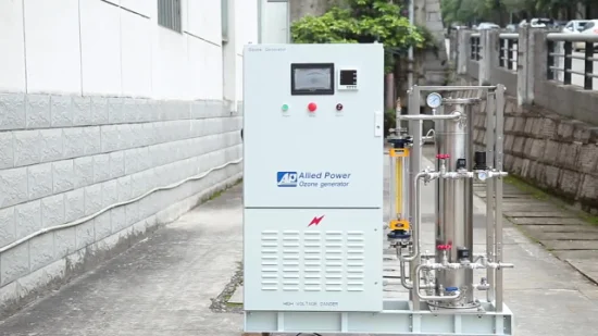 Industrielle Ozonerzeugungsmaschine für die Wasser- und Abwasseraufbereitung